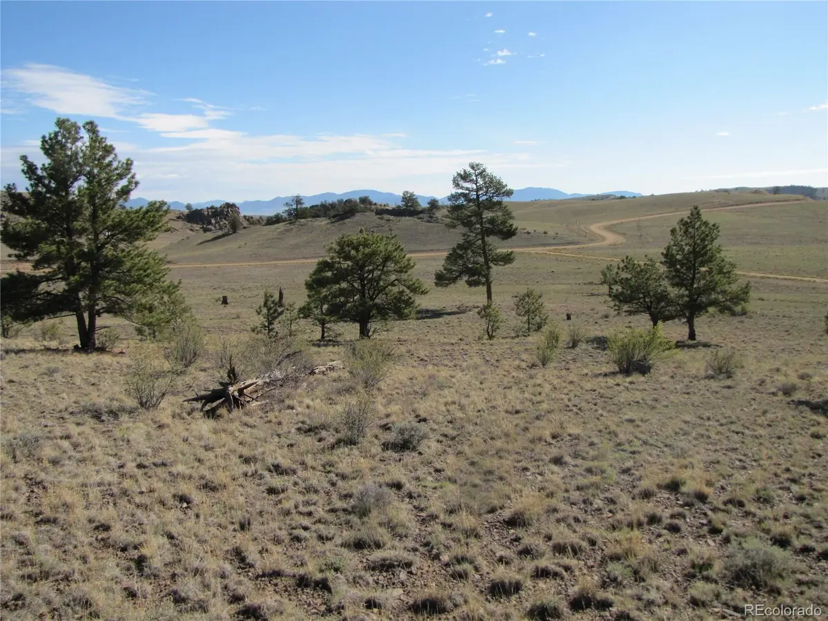 Lot 49 Quail CT, Hartsel, CO 80449