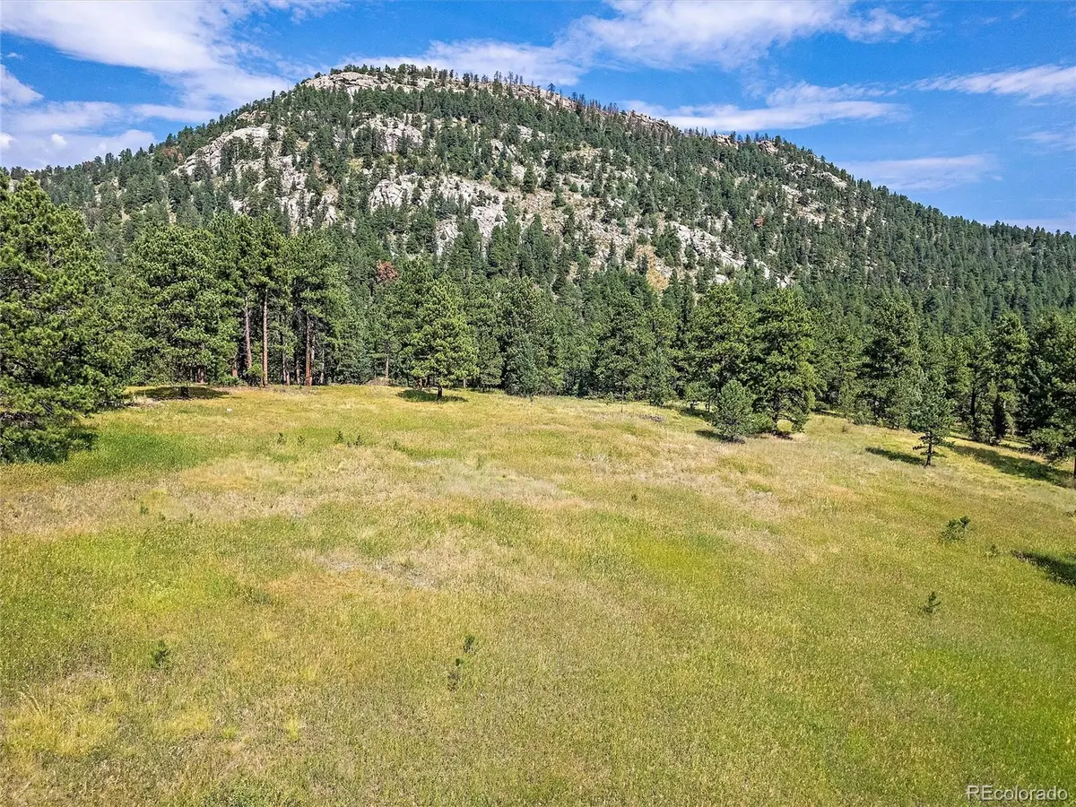 00 S Le Masters DR, Evergreen, CO 80439