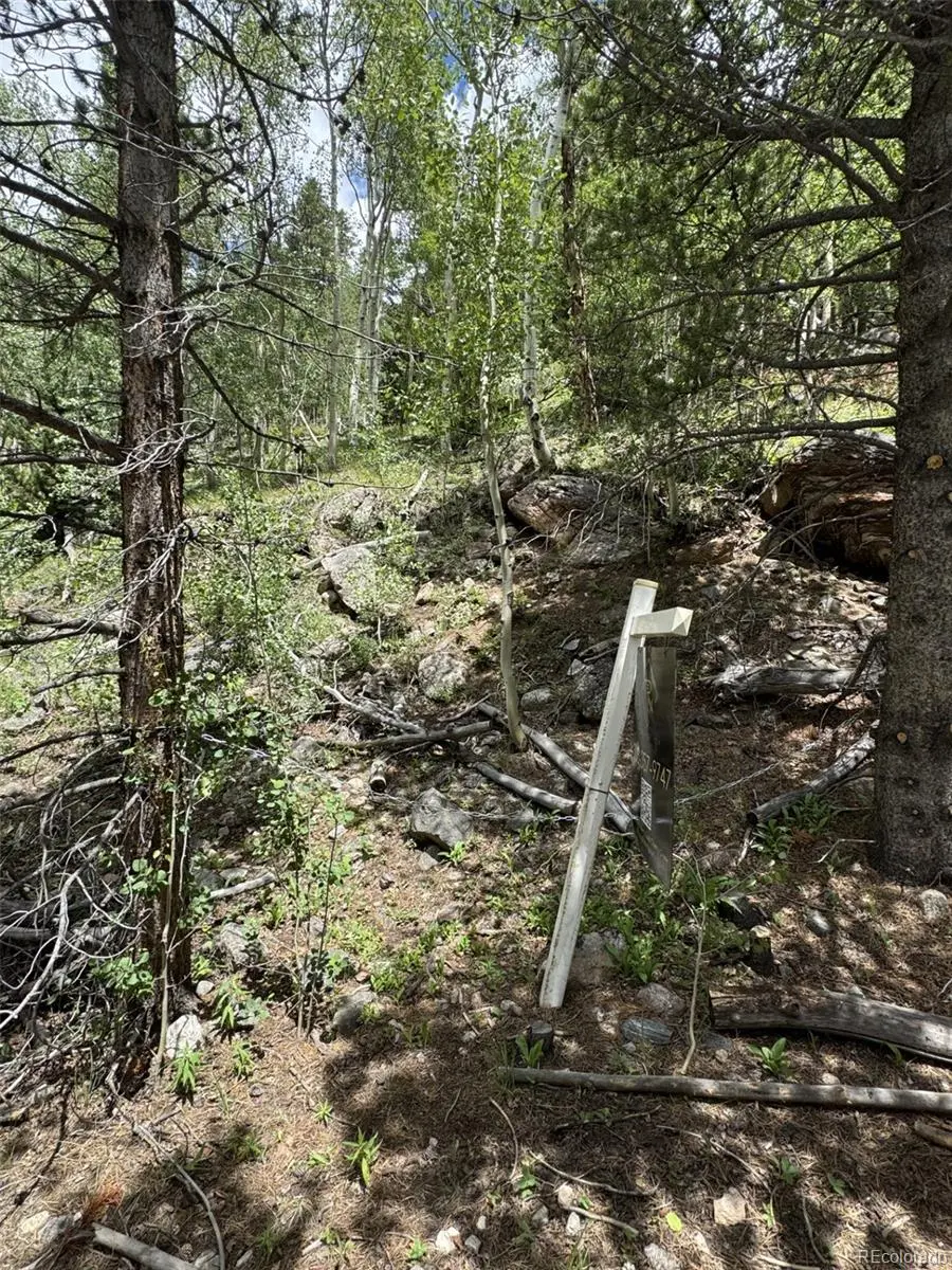0 Loch Lomond RD, Idaho Springs, CO 80452