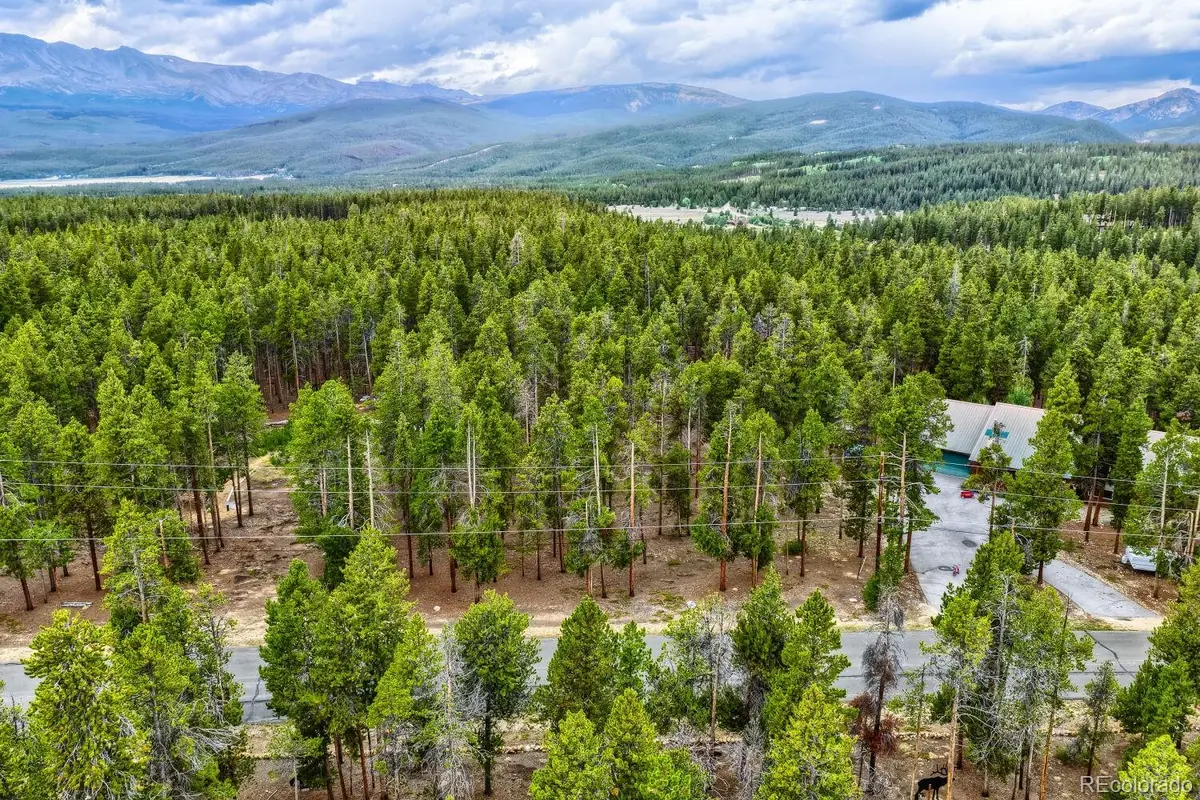 848 Baby Doe DR, Leadville, CO 80461