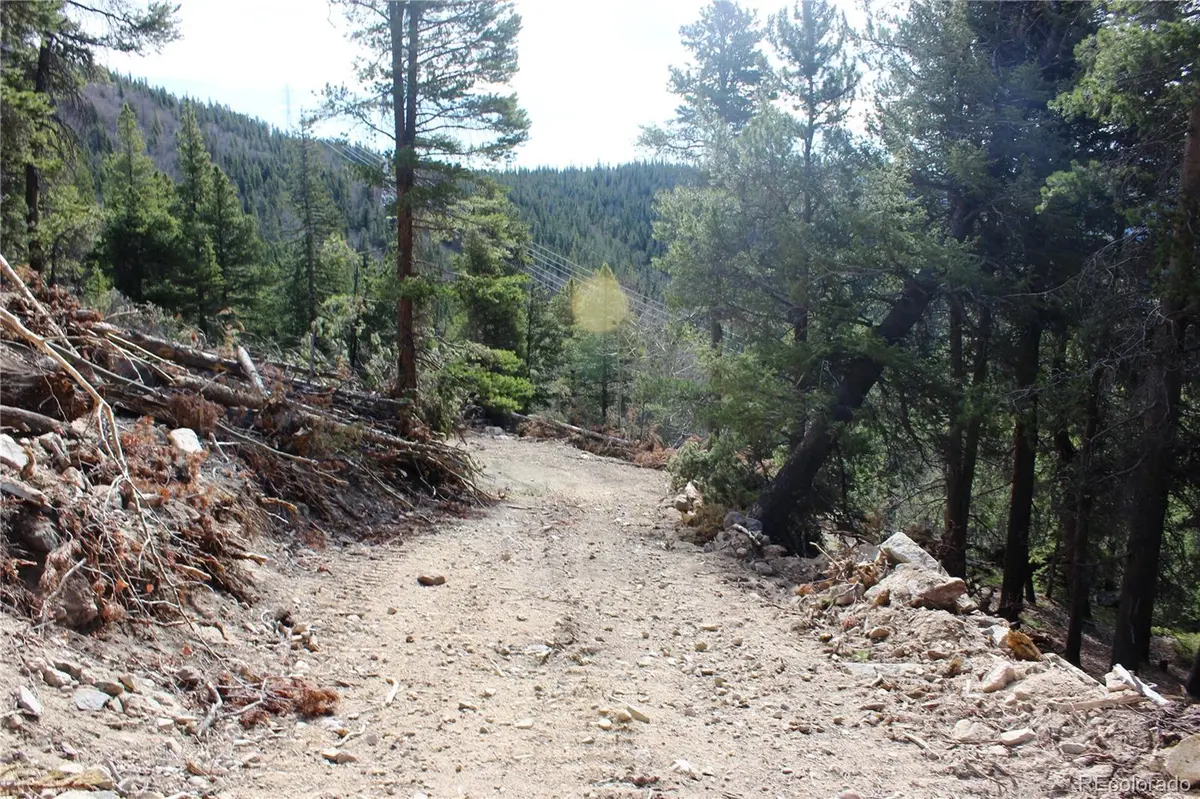 4-1 Lamertine RD, Idaho Springs, CO 80452