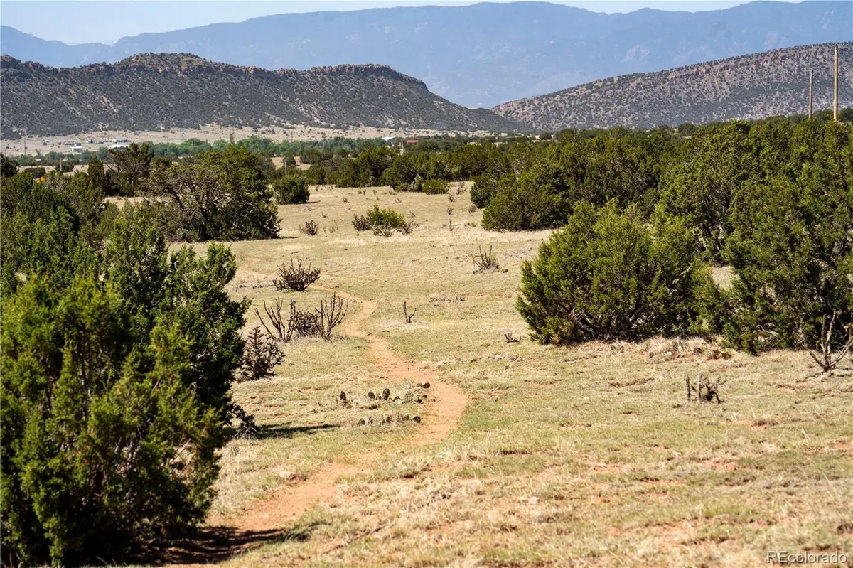 County Road 132, Penrose, CO 81240