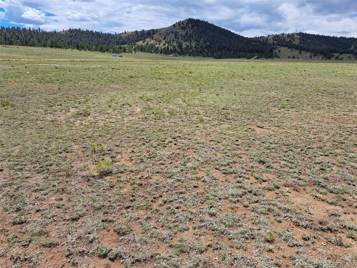 389 Park RD, Hartsel, CO 80449