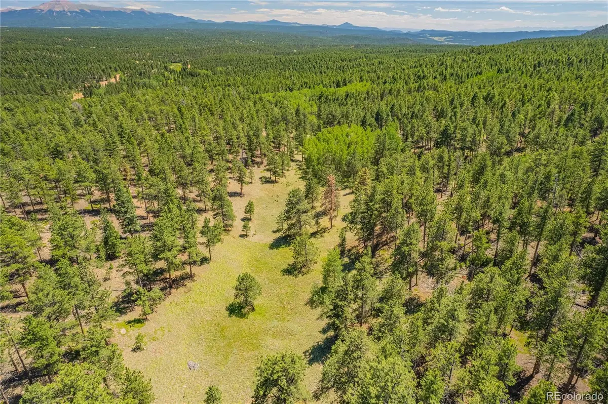 Lot 2 County Road 51, Florissant, CO 80816