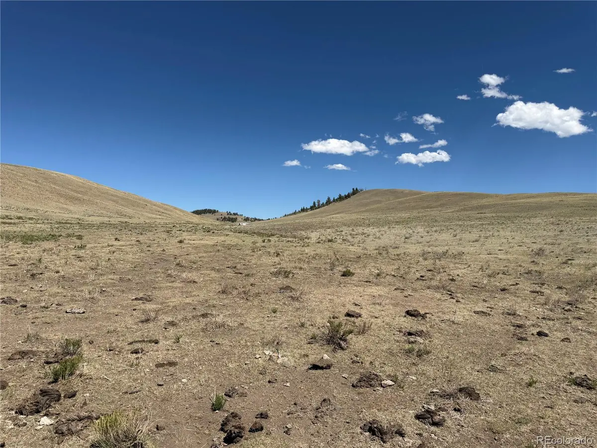 3216 Coweta TRL, Hartsel, CO 80449