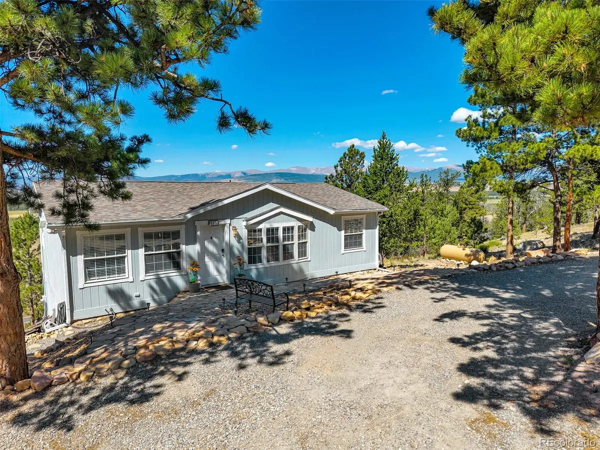 803 Bonell DR, Fairplay, CO 80440