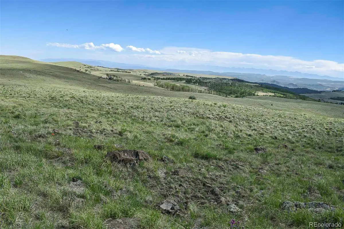 00 Bear Cat RD, Guffey, CO 80820