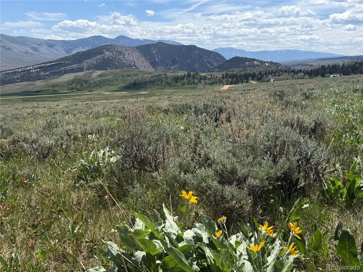 Spring Creek Ranch RD, Silverthorne, CO 80498