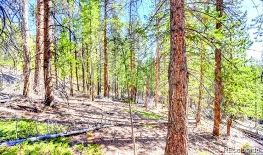 2222 Swift Claim RD, Georgetown, CO 80444