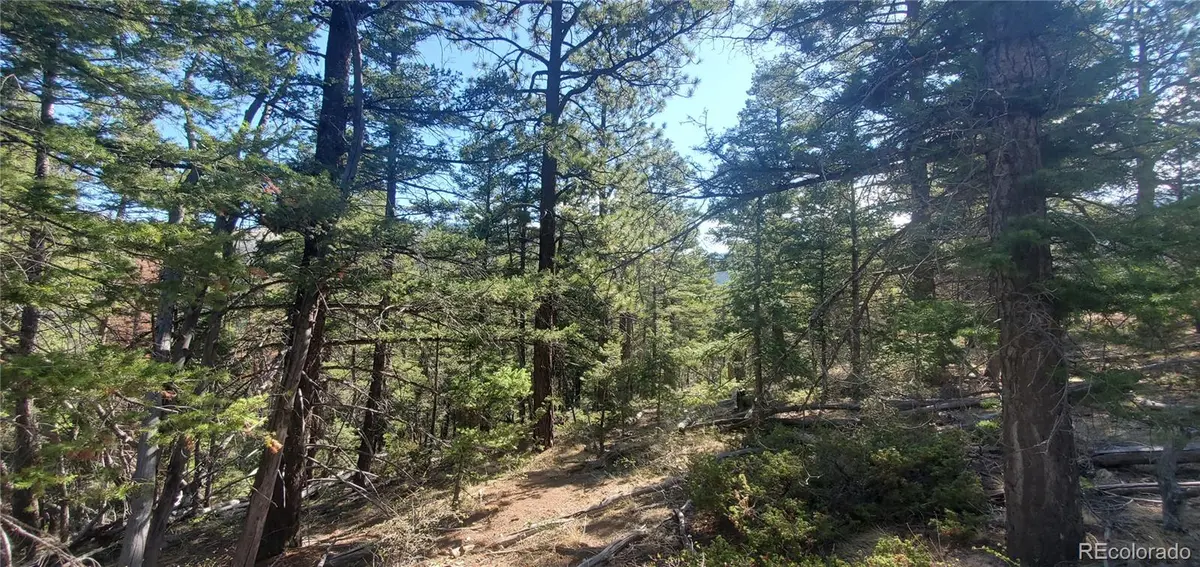 Lot 5273 Vivian RD, Fort Garland, CO 81133
