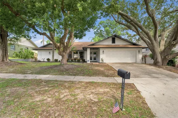 2721 BRIARPATCH DR, Valrico, FL 33596