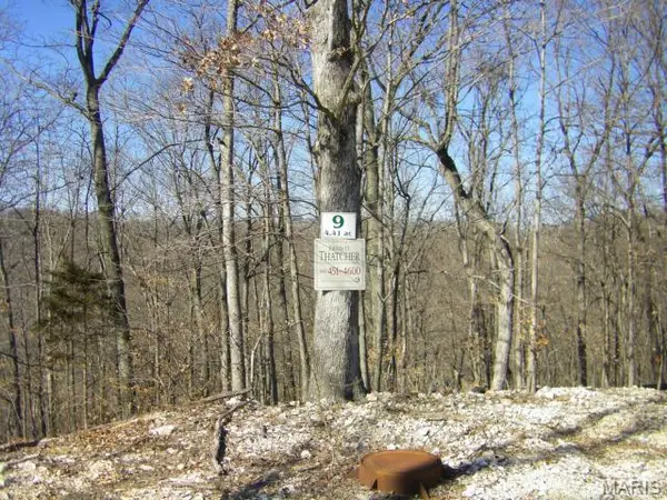 9 Old Logging RD #9, Eureka, MO 63025