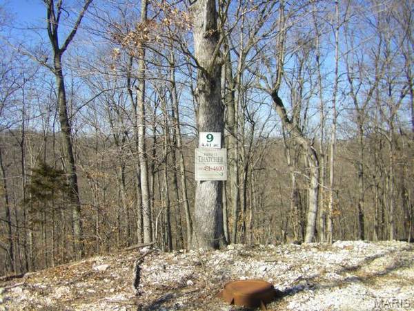 9 Old Logging RD #9, Eureka, MO 63025