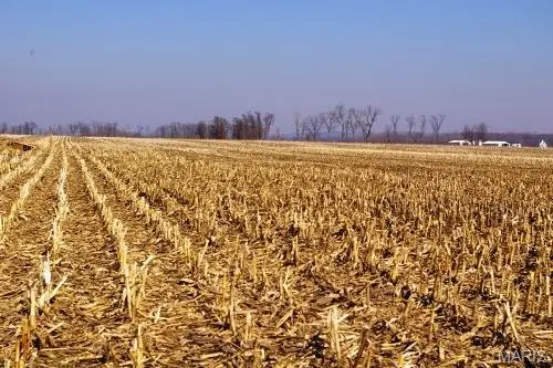 0 Norton Woods Road, Elsberry, MO 63343