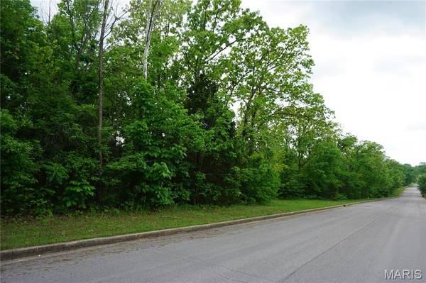0 Columbia Avenue Lot 20, Rolla, MO 65401