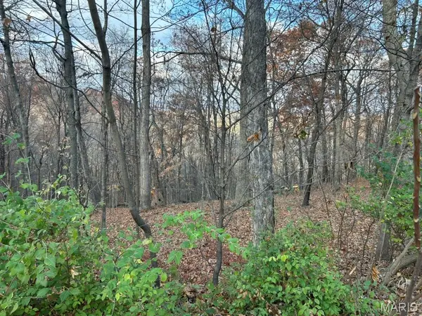 54 The Bluffs DR #54, Eureka, MO 63025
