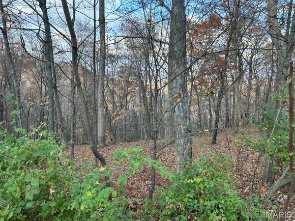 54 The Bluffs DR #54, Eureka, MO 63025