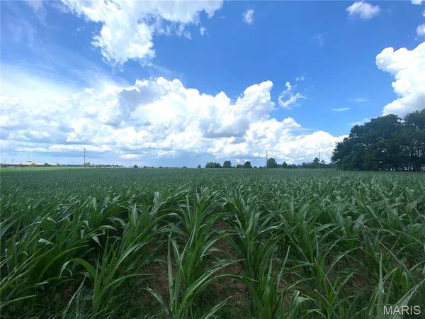 0 Highway 51, Perryville, MO 63775