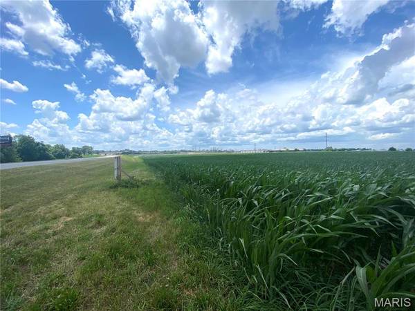 0 Highway 51, Perryville, MO 63775