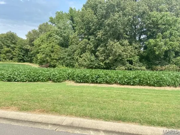 0 Brookfield Drive, Dexter, MO 63841