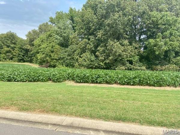0 Brookfield Drive, Dexter, MO 63841