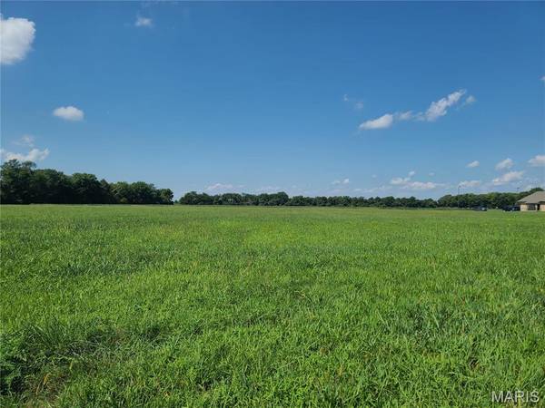 103 Grove Estates, Sikeston, MO 63801