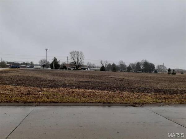 0 Smelting Works Road, Swansea, IL 62226