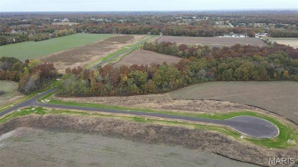 101 Lonesome Dove WAY, Wentzville, MO 63385