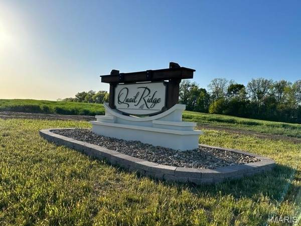 1000 Quail Grove Circle (Lot 22), O'fallon, MO 63366
