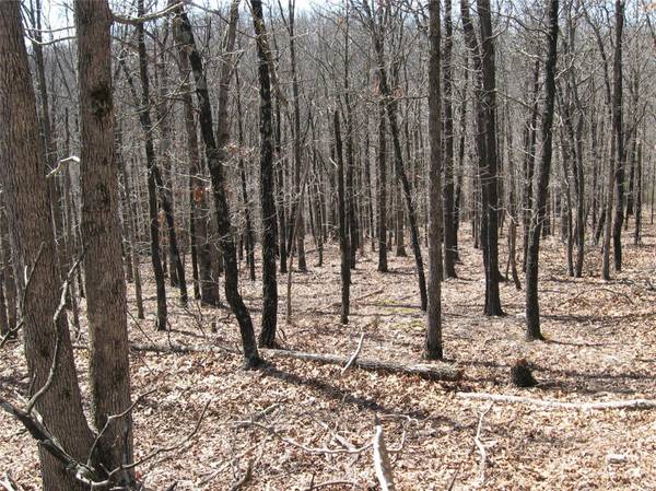 0 Superior Road, St Robert, MO 65584