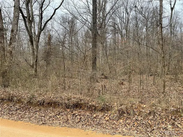 0 County Road 160 E-4, Doniphan, MO 63935