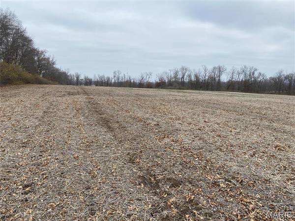 30 Elm Tree RD, Moscow Mills, MO 63362