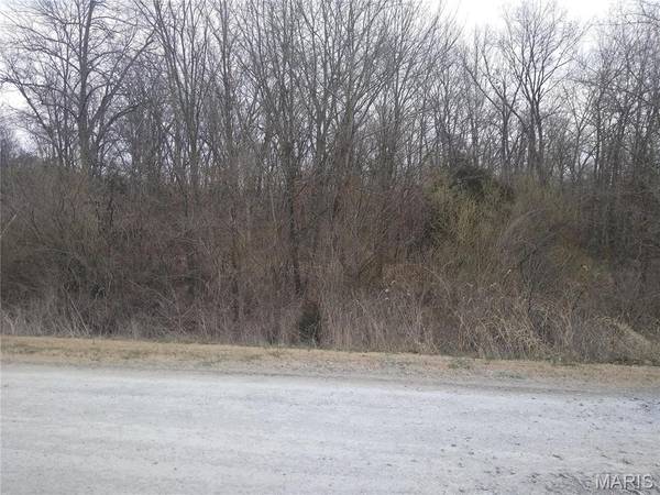 0 FLAMINGO RD, Sparta, IL 62286