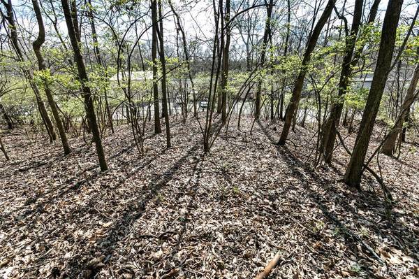 740 Forest AVE, Valley Park, MO 63088