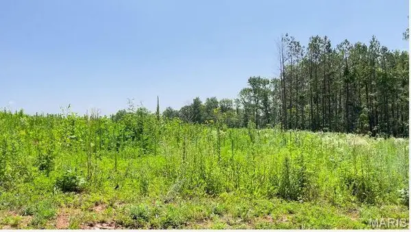0 County Road 3440, Mountain View, MO 65548