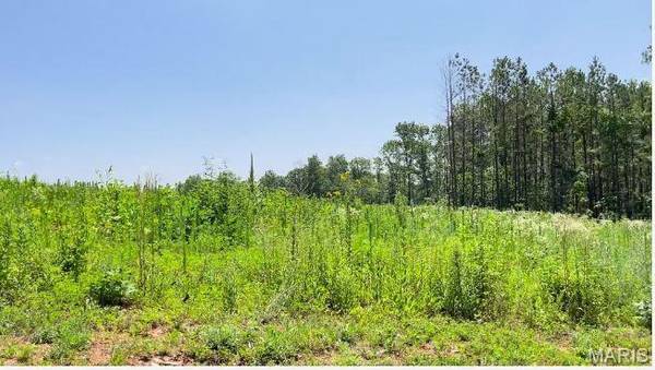 0 County Road 3440, Mountain View, MO 65548