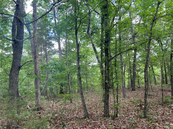 12 Acre Lot, Dittmer, MO 63023