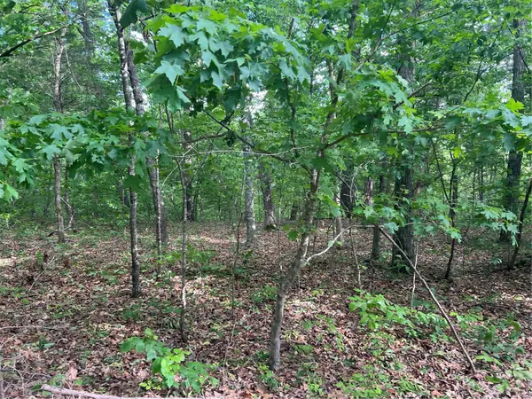 12 Acre Lot, Dittmer, MO 63023