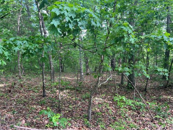 12 Acre Lot, Dittmer, MO 63023