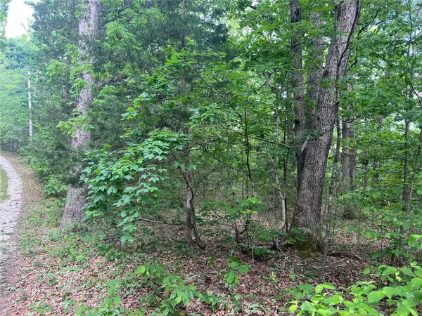 12 Acre Lot, Dittmer, MO 63023
