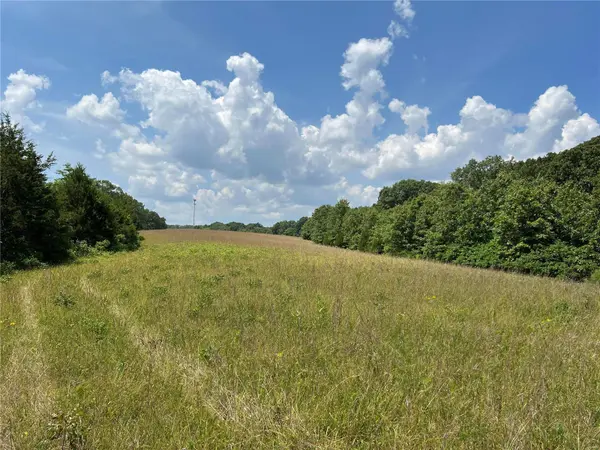 5232 Hobby Farms Dr, De Soto, MO 63020