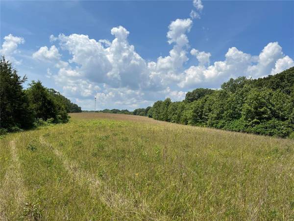 5232 Hobby Farms Dr, De Soto, MO 63020
