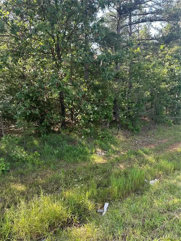21 Hwy 21 N, Doniphan, MO 63935