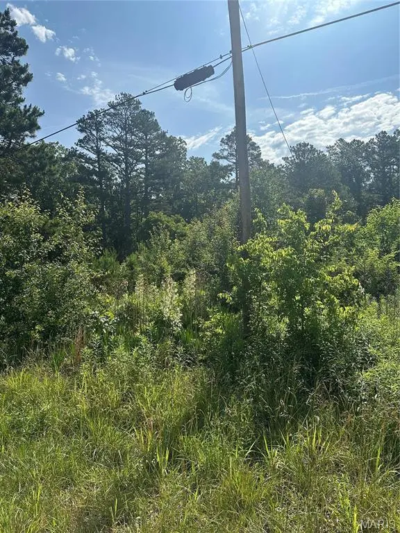 21 Hwy 21 N, Doniphan, MO 63935