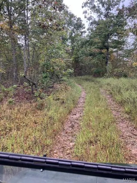 32 Madison CR 410, Fredericktown, MO 63645