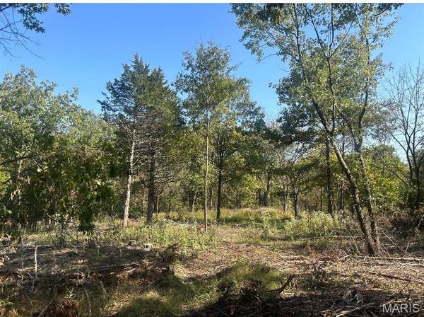 0 Lot #31 Fawn Hollow CT, Foristell, MO 63348