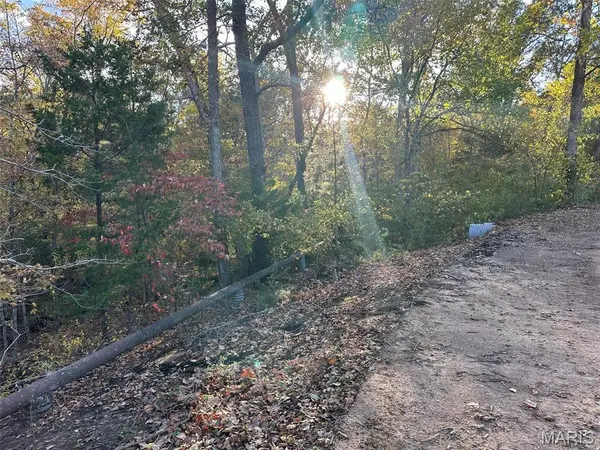 0 Scout Camp Rd, Irondale, MO 63648
