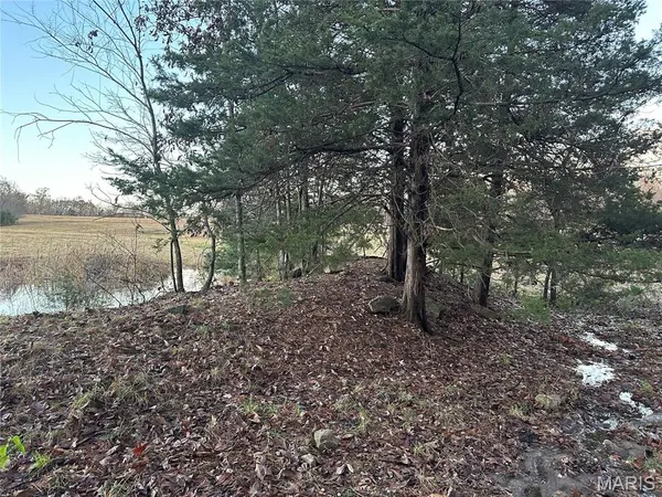 0 PUMPSTATION RD #TRACT  #5, Rosebud, MO 63091