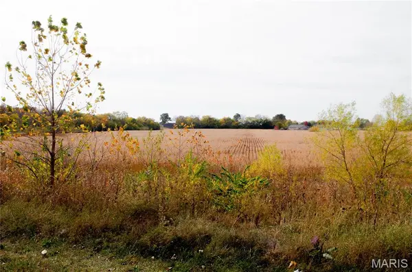 312 Pike County Road, Bowling Green, MO 63334