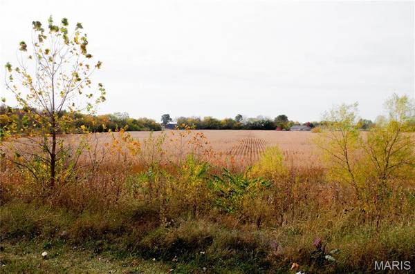 312 Pike County Road, Bowling Green, MO 63334